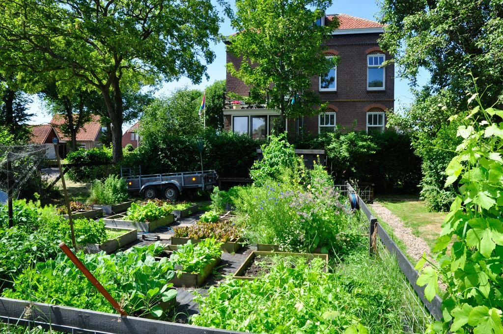 B&B De Postoari Terschelling Hoorn  Exteriör bild